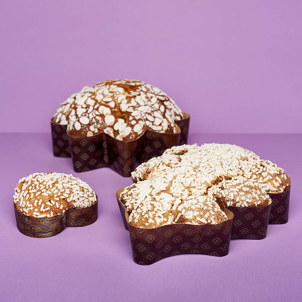 Novacart specialty molds