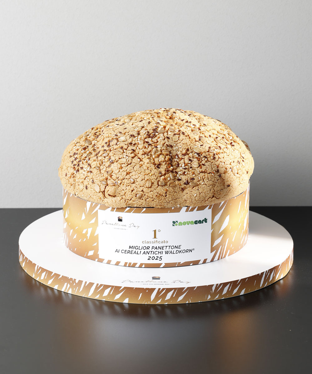 Panettone Fikissimo ai cereali antichi di Andrea Songia