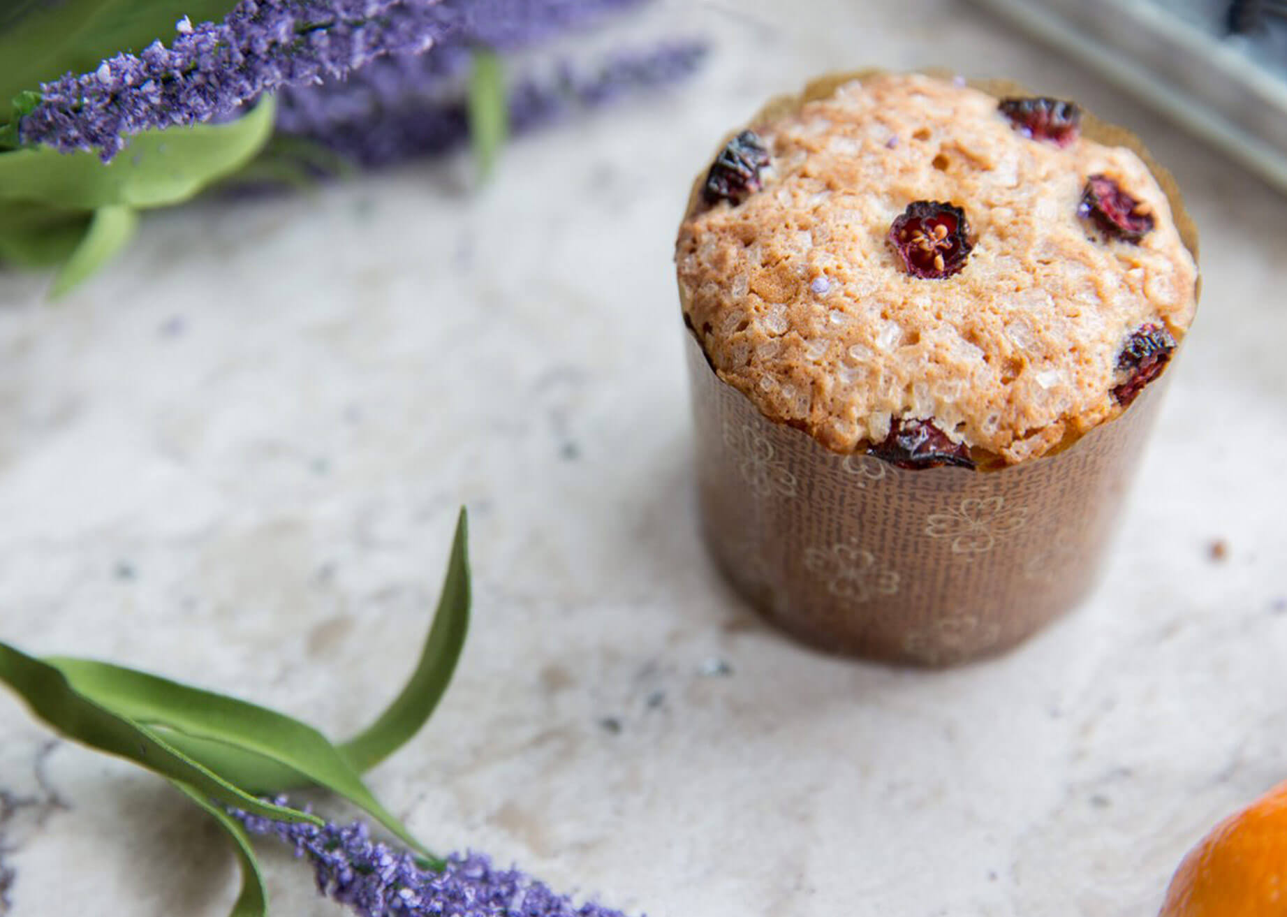 Mini panettone di Natale nello stampo Novacart