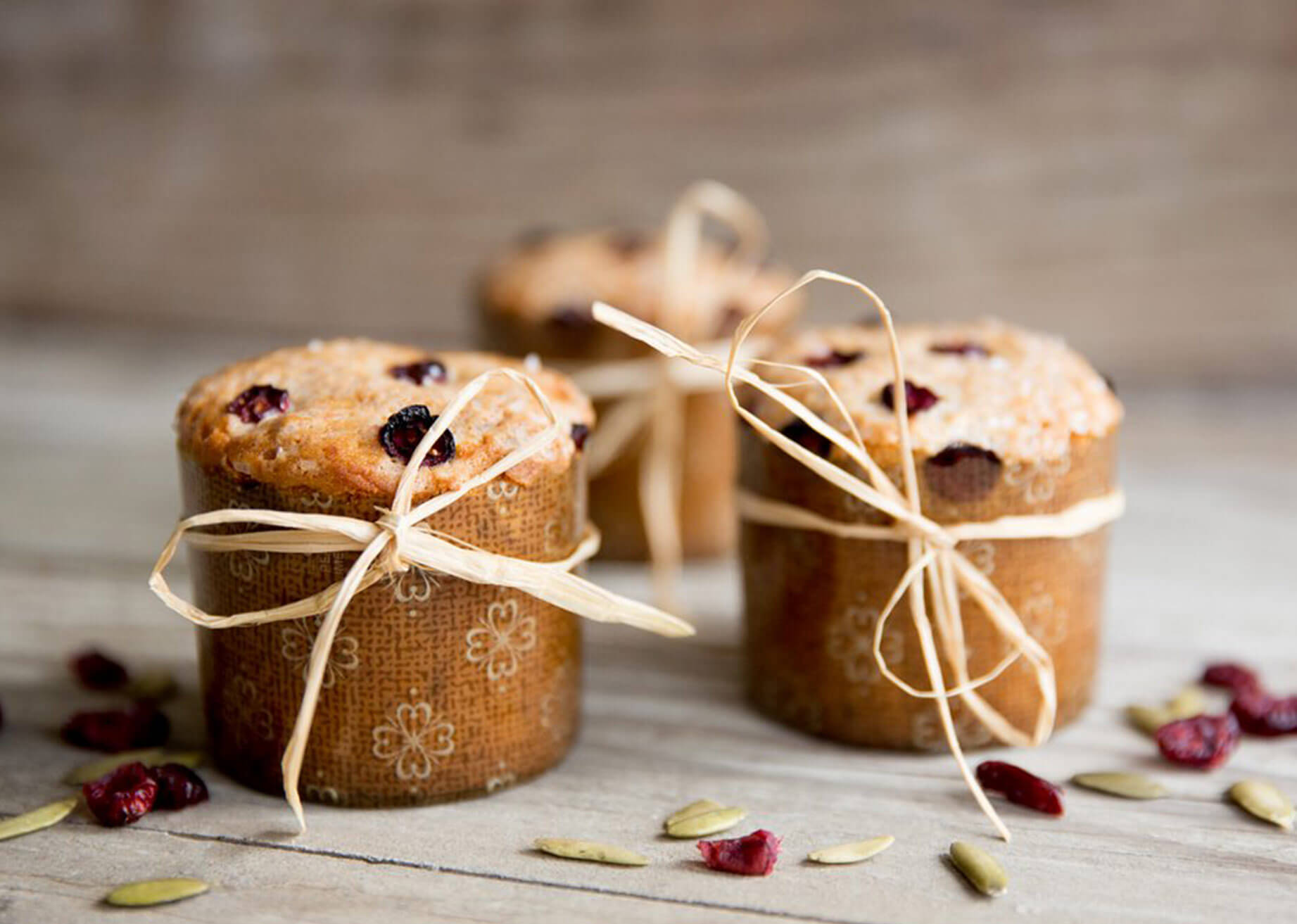 Mini panettoni di Natale nelle forme di cottura Novacart