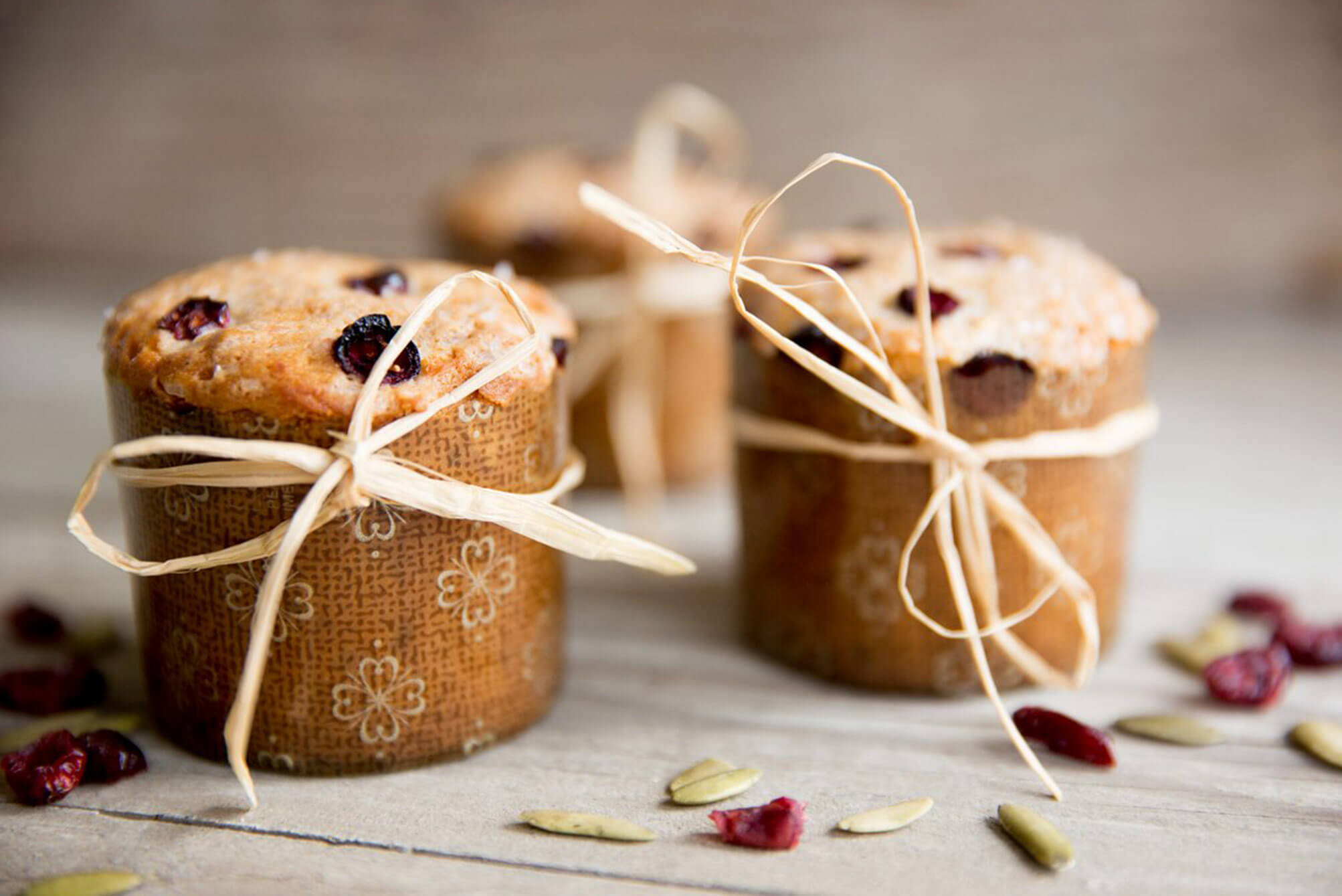 Christmas mini panettone in Novacart baking mold