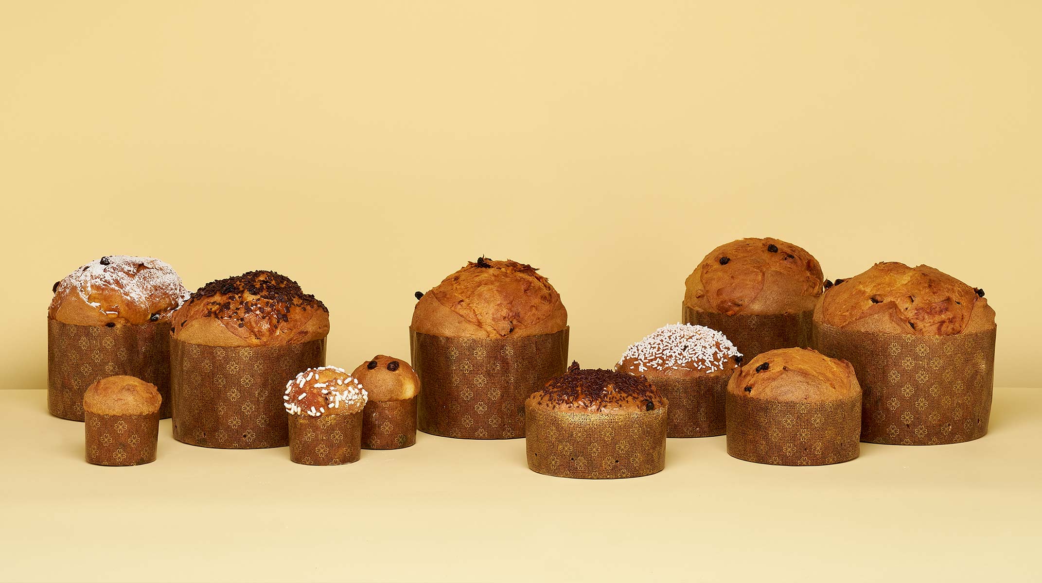 Novacart Russia panettone molds