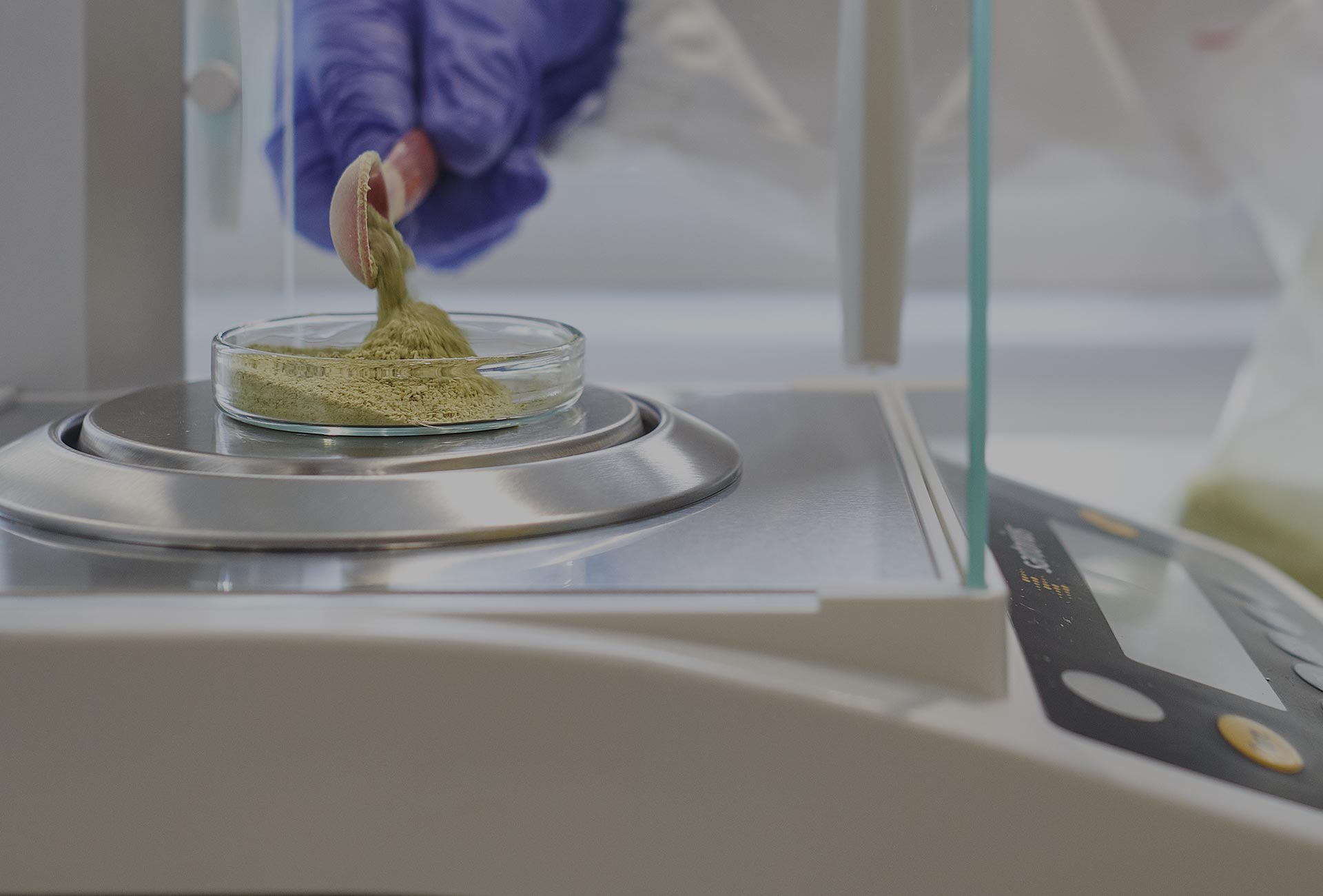 Novacart Punto Rosso lab