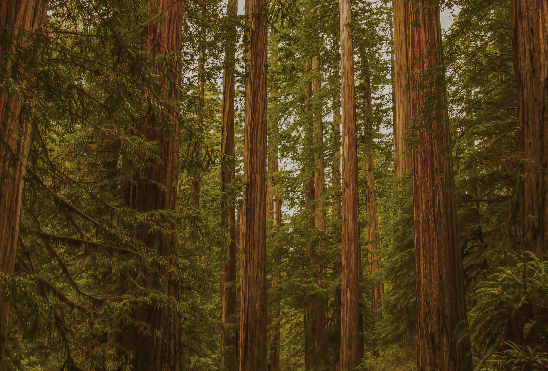 Novacart Usa sustainability