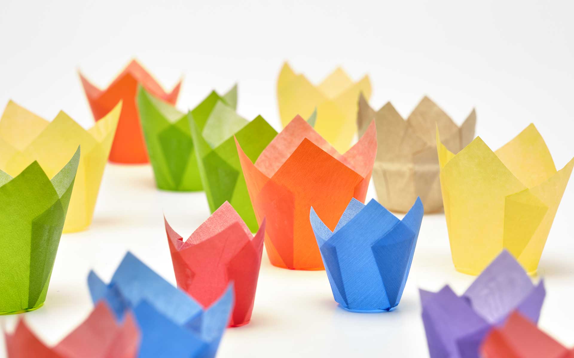 Novacart Usa tulip cups