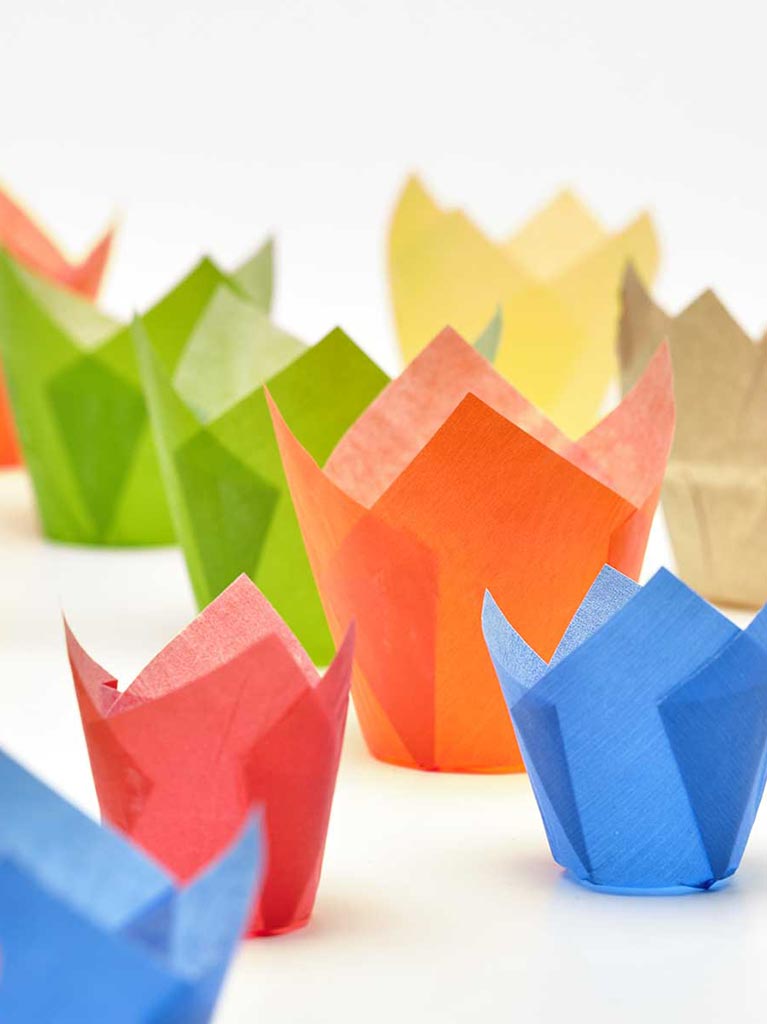 Novacart Usa tulip cups