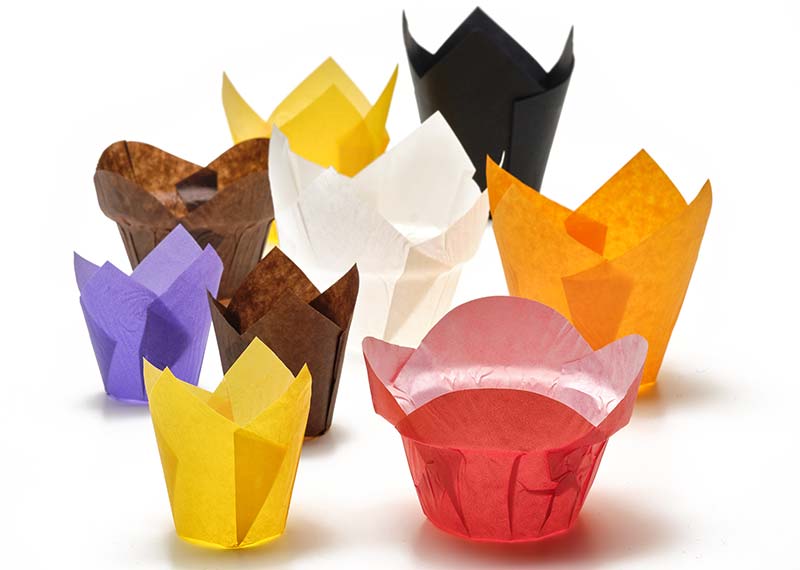 Neupack Tulip Cups en papier