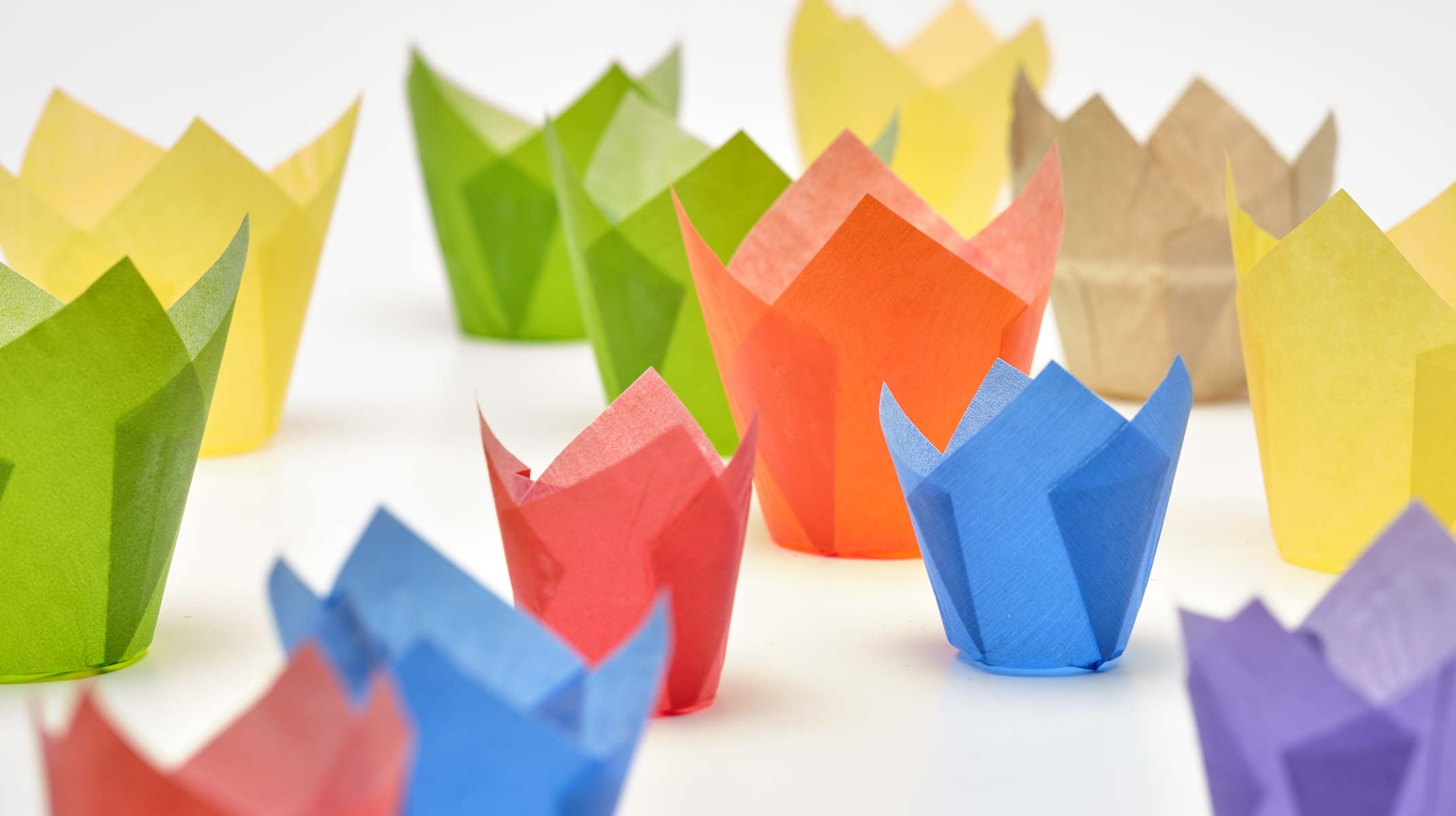 Baki Packi tulip cups