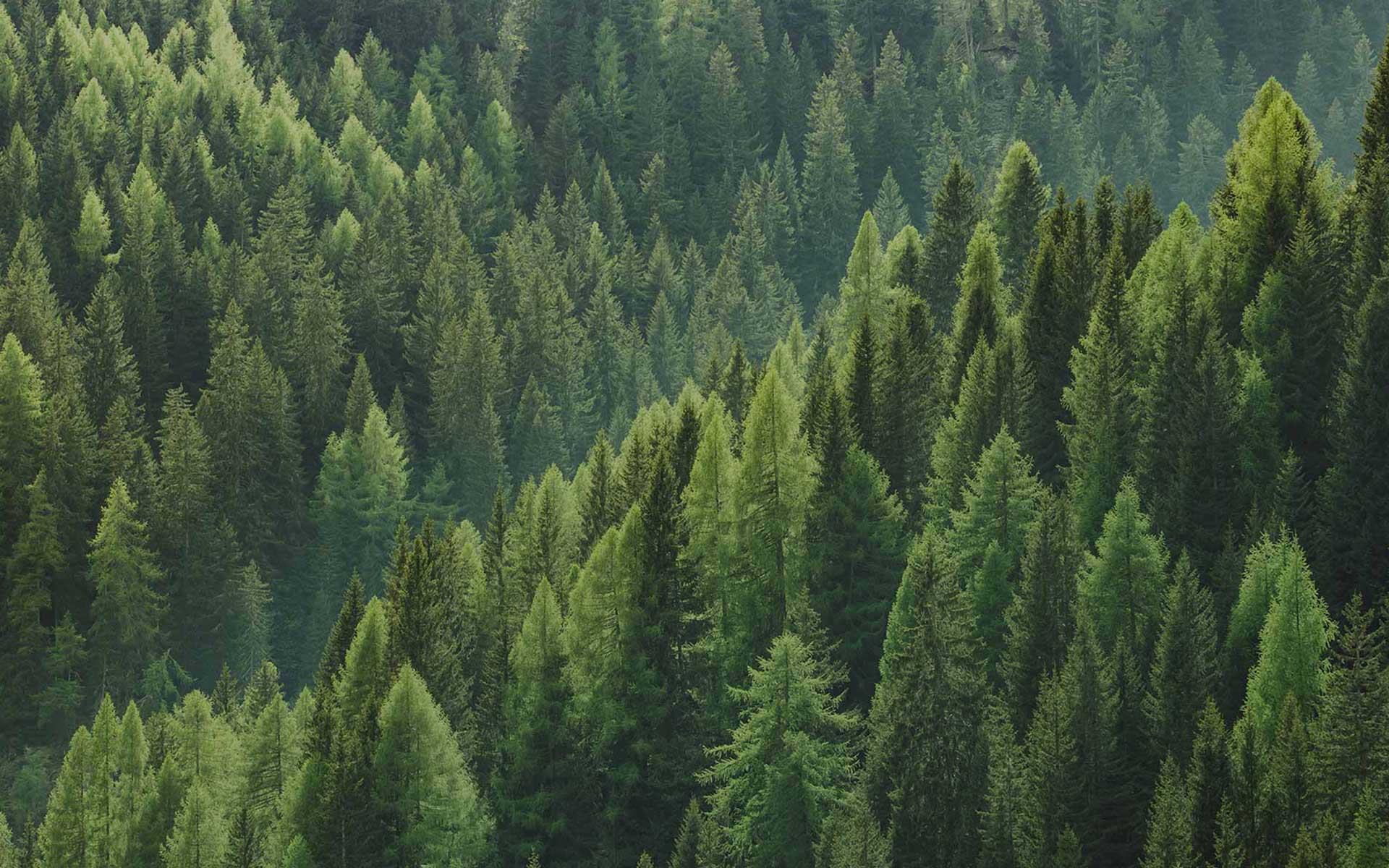 Cartotecnica Esse-Bi sustainability