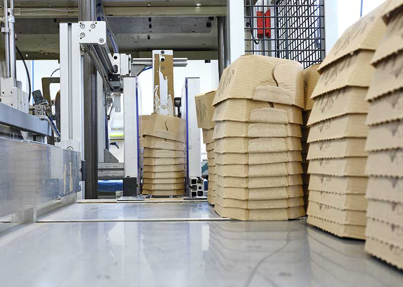 Cartotecnica Esse-Bi plant